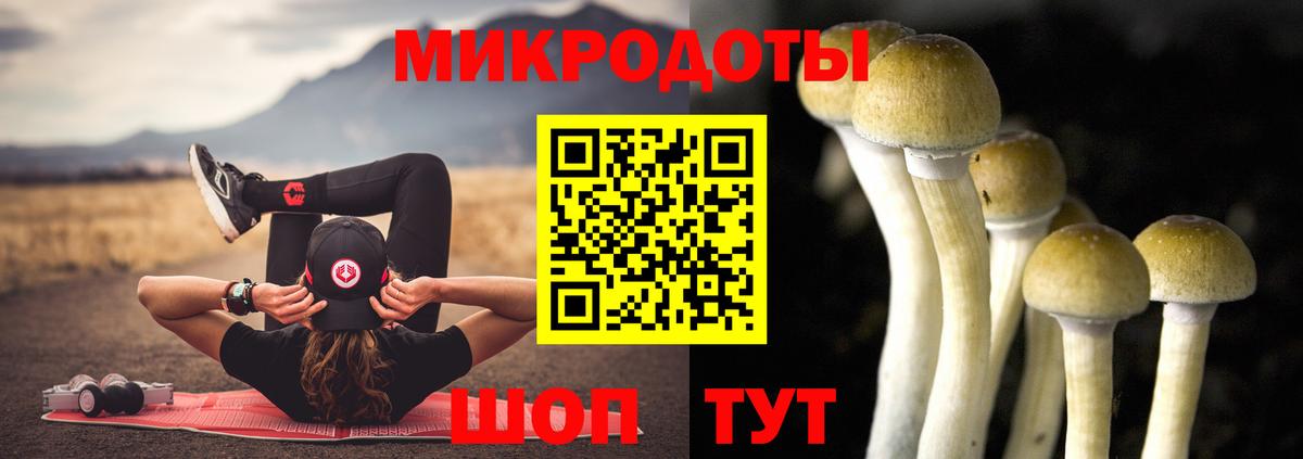 Псилоцибиновые грибы GOLDEN TEACHER Сорочинск